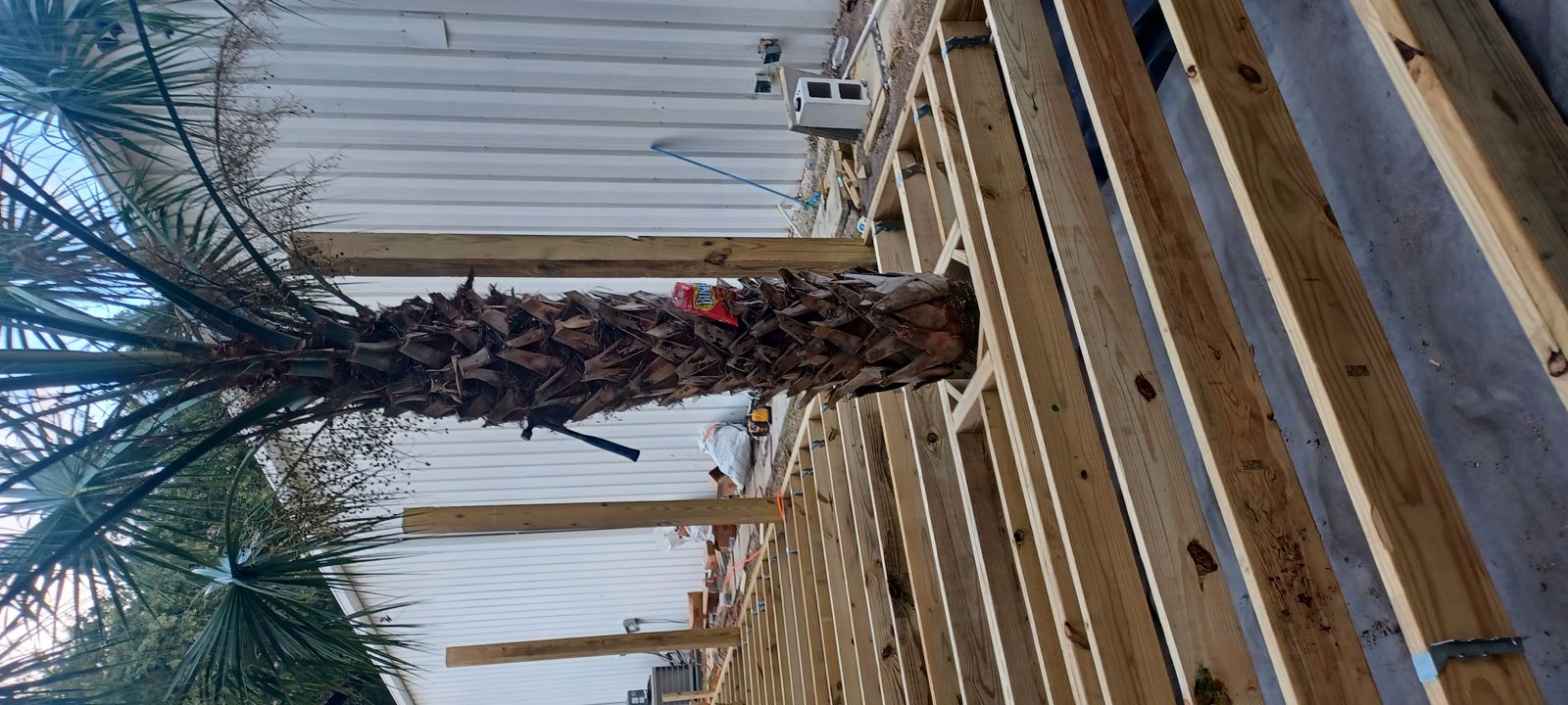 Downtown deck framing build with palm centerpiece by Piper Outdoors